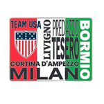 Load image into Gallery viewer, Team USA Shield and Italian Flag Pin
