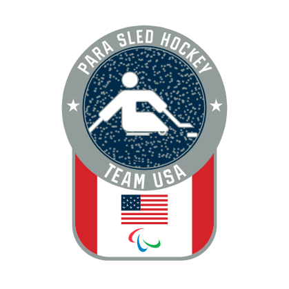 Team USA Para Sled Hockey Pictogram Glitter Pin