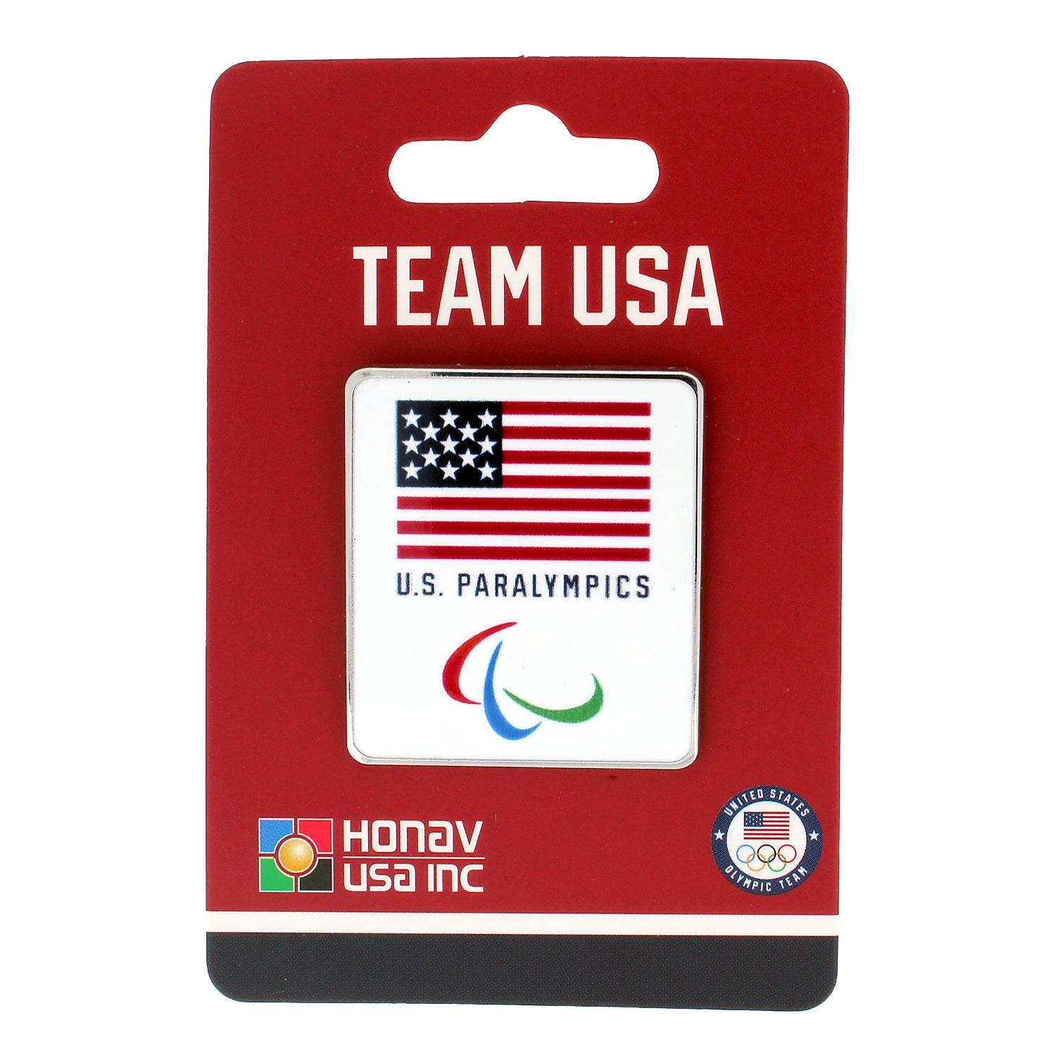Team USA Paralympics Retro Pin